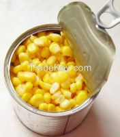 Canned sweet corn