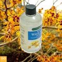 Witch Hazel