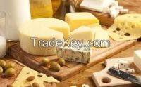 Gouda Cheese 48% for Sale