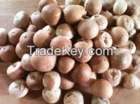 Pure Natural Dried Pine Nuts Kernel