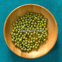 High quality green mung bean