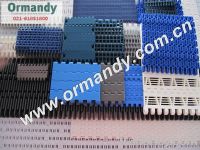 Plastic module chain mesh belt