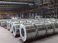 Sell hot dip galvanized steel coil(HDGI)