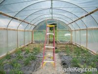 Sell Greenhouse twine