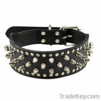Sell leather pitbull dog collar