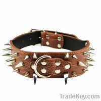 Sell studded genuine leather dog collar