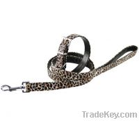Sell fashion dog collar and leash
