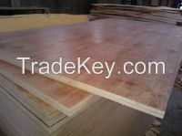 Plywood for construction, packing for sale with good price