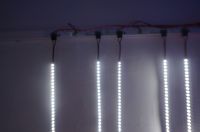 Sell LED stripe with tube