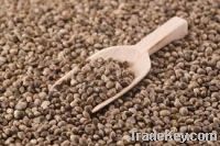 Sell SUNFLOWER SEEDS, COTTON SEEDS, RAPESEED, SOYBEAN