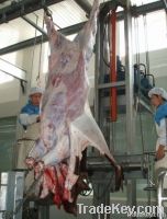 Sell Hydraulic Cattle Abattoir Skin Removed Machine
