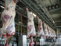 Sell Cattle Abattoir (slaughter) Manual Over Head Convey Rail