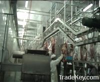 Sell Hang Type Cattle Red Viscera Conveying Systems