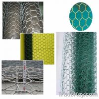 Sell Hexagonal Wire Netting