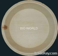 Disposable Areca catering plates