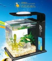 KQ small aquarium