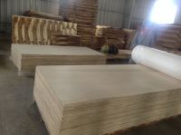 White Canarium Plywood (CARB P2) from Vietnam