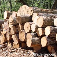 Sell Teak Logs and lumber