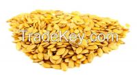 Yellow flax seeds