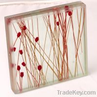 Laminated Glass with Organic