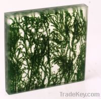 Glass Laminated with grass
