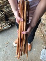 Best promotion for Vietnam Cinnamon Cassia stick