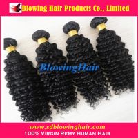 Sell cambodian hair