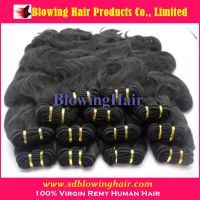 Sell brazilian remy hair