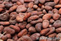 Sell Best Quality Roasted Cocoa Beans for Sale