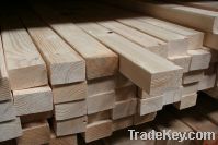 Sell Timber and Logs  Available