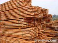 Sell Doussie Timber , Tali, Wenge, Iroko, /Logs