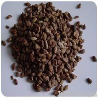 Sell  Voacanga  Africana seeds