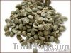 Sell Robusta coffee Green Beans