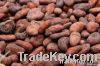 Sell  Best Quality Cocoa Beans