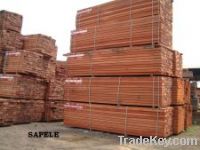 African Hardwood Timber