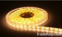 Sell led smd strip light(DC12/24V)