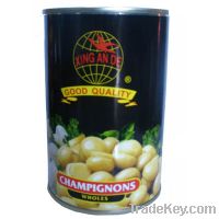 Sell canned champignon mushrooms