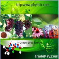 Sell Grape Seed Extract