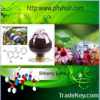 Sell Bilberry Extract