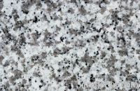 Sell white flower granite slabs GS1009