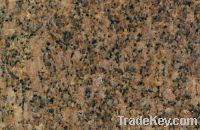 Sell Giallo Anitco Granite GS1051