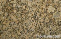 Sell Giallo Fiorito Granite GS1056