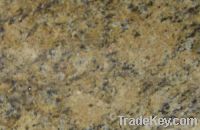 Sell Giallo Veneziano Granite GS1057