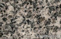 Sell Leopard Skin Granite GS1061