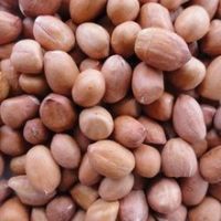 Best Quality Of Peanuts For Sale