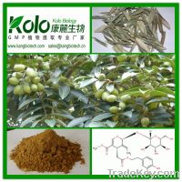 Dietary Supplement Olive Leaf Extract Oleuropein 10%-60% Hplc
