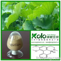 Weigh loss Ingredient Lotus Leaf Extract Nuciferine 1%-98% Hplc