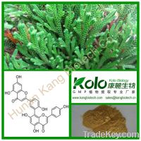 Sell Cosmetic Ingredients Amentoflavone 0.3% - 98% Hplc