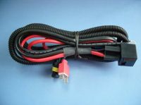 Sell HID xenon kit H7 wire harness