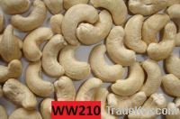 Sell Cashew Nuts WW210